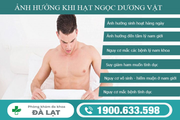 Hình ảnh minh họa